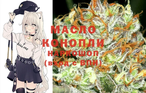 соль ск Алзамай