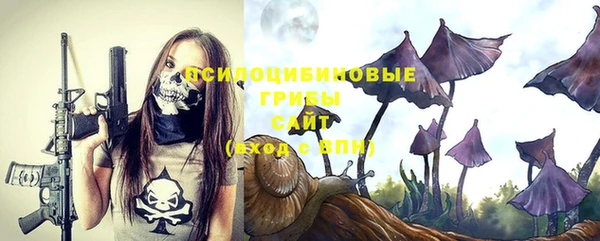 гидра Новокубанск